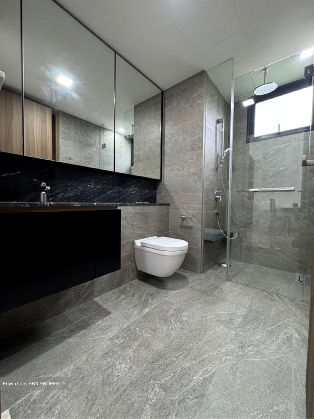 Daintree Residence (D21), Condominium #619466201